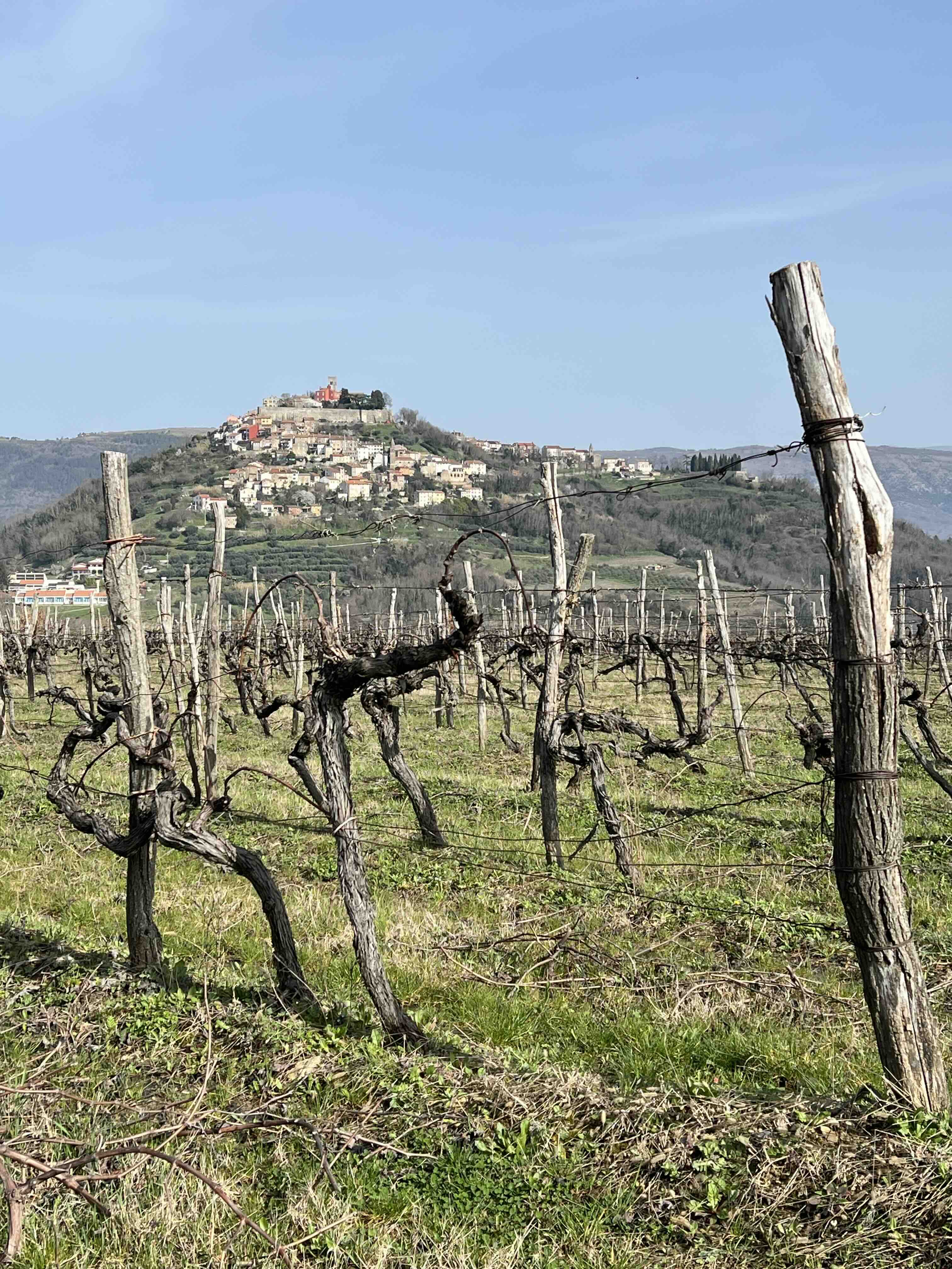 Motovun